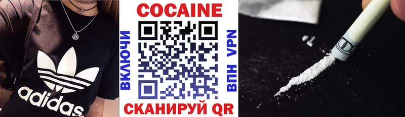 КОКАИН FishScale  закладка  Козловка 