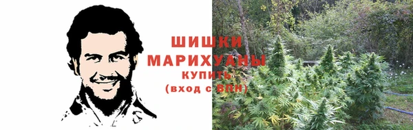 трава Алзамай