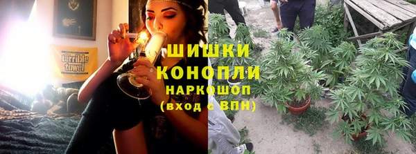 трава Алзамай