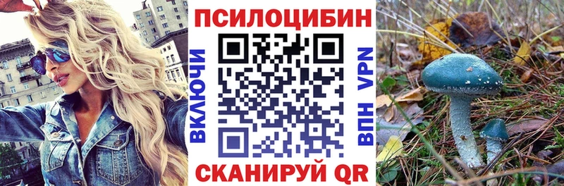 Галлюциногенные грибы MAGIC MUSHROOMS  Козловка 